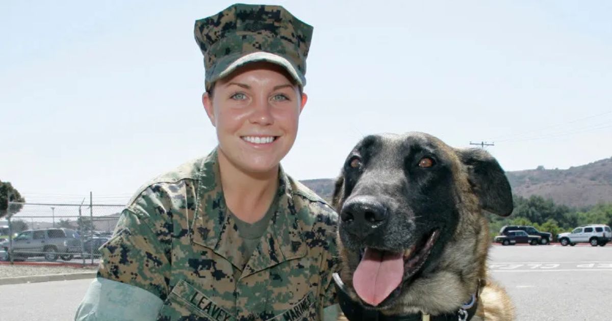 Megan Leavey Married Matt