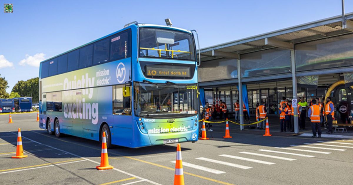 Bus Network And Timetable