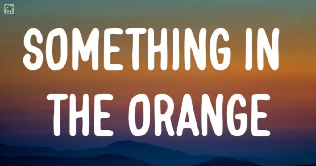 Something In The Orange
